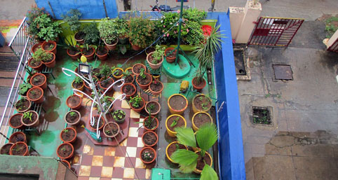 Terrace garden